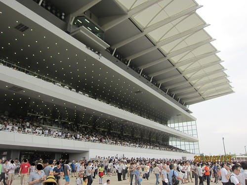 Chukyo_Racecourse 中京競馬場