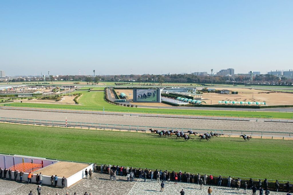 中山競馬場 中山競馬場