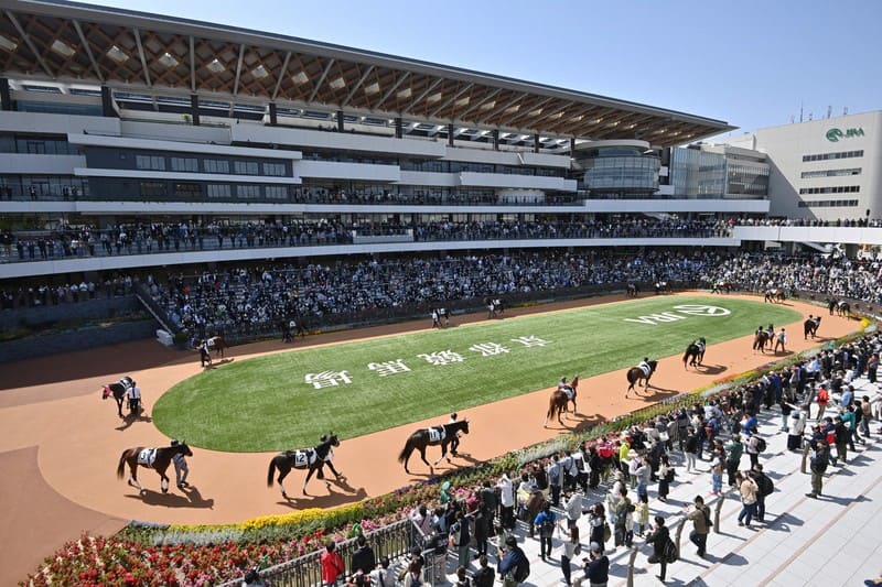京都競馬場 京都競馬場