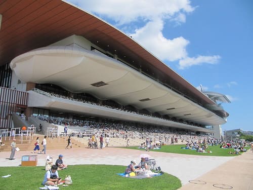 函館競馬場 函館競馬場
