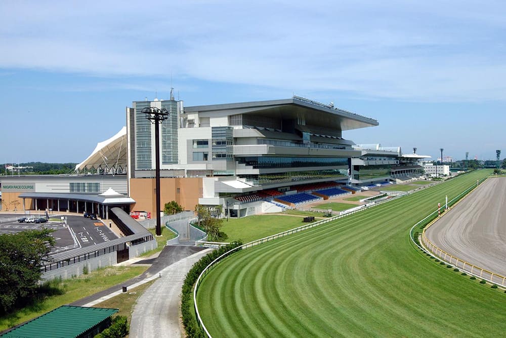 新潟競馬場 新潟競馬場