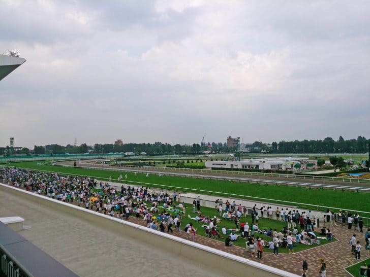 札幌競馬場 札幌競馬場