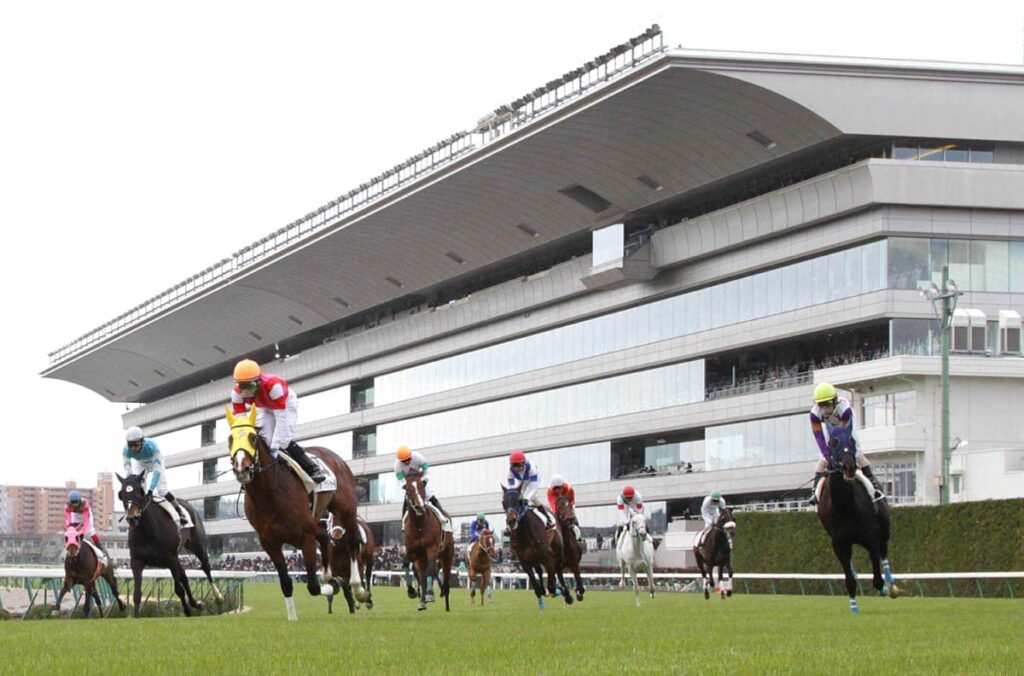 福島競馬場 福島競馬場