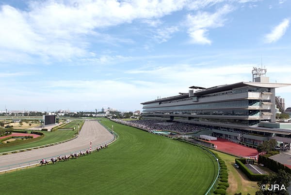阪神競馬場 阪神競馬場