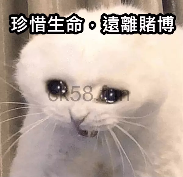 網友哭喊：珍惜生命，遠離賭博